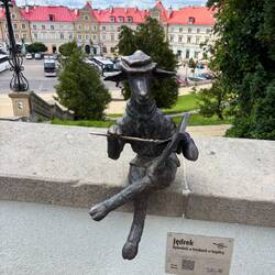 Una delle diverse capre in città