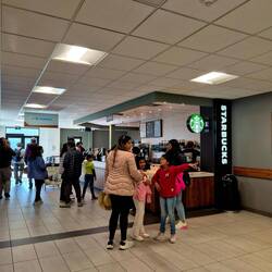 Plutôt que gravir un glacier, Plutôt se boire un Starbucks... you morons.