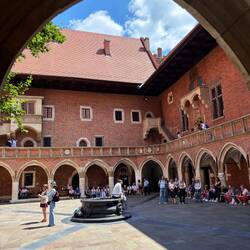 Università copernicana