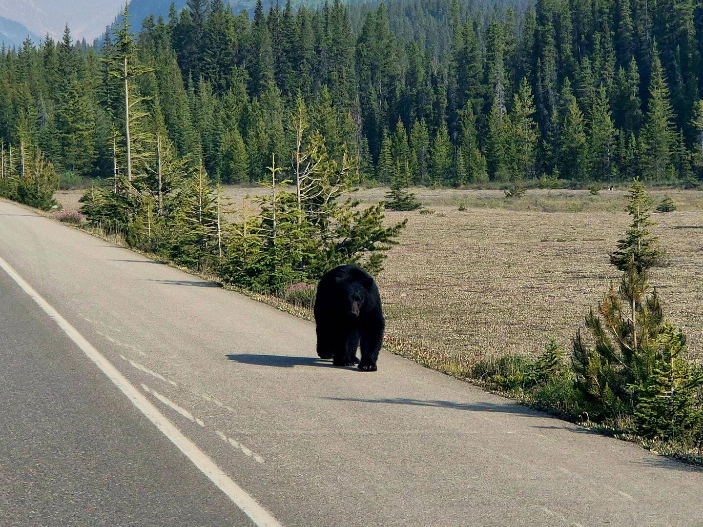 Il est aussi content que moi au réveil.