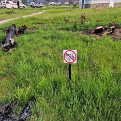 Je pense que marcher sur l'herbe est le cadet des soucis. Les arbres en feux peut-être...