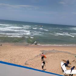 Die Surfer