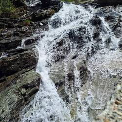 Viele kleine Bäche speisen den See.