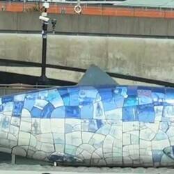 Represents the FISH that smelled up the city until it was brought under control