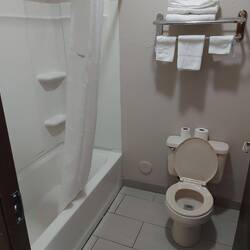 Immer diese Kindertoiletten, entweder groß oder klein und so niedrig, die Knie zwischen den Ohren.
