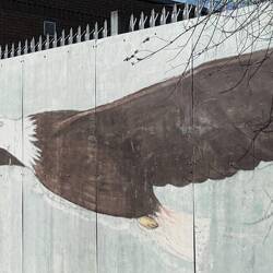 But they who trust in GOD shall renew their strength As eagles grow new plumes ...and not grow faint