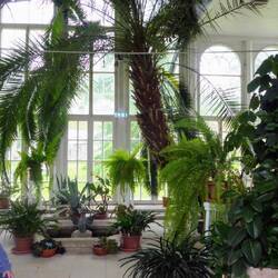 Zum Anwesen gehört eine schöne Orangerie