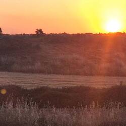It's daylight from 6.30am to 10pm at the moment...longest day next week!