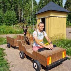Neues Holzmobil