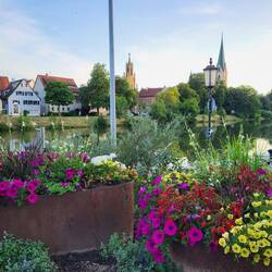 Zum Ausklang des Tages ein Abendspaziergang am Neckar.