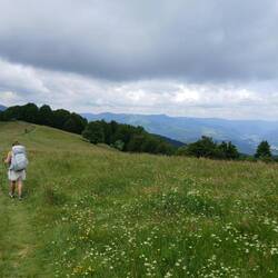 Barfuß über die Wiese