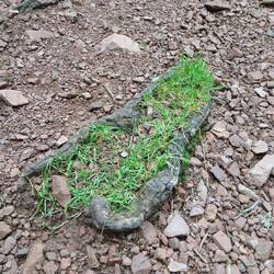 Schön geschützt inmitten des Weges
