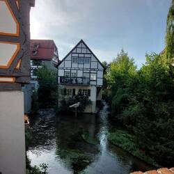 Der Ulmer Spatz ist allgegenwärtig.