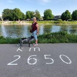 2650 km bis zum Schwarzen Meer!☝️