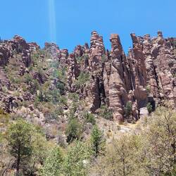 Organ Pipe Formation
