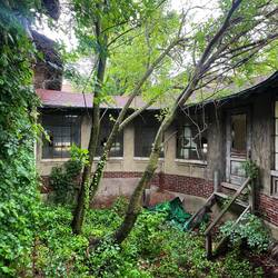 Die Natur holt sich alles zurück.