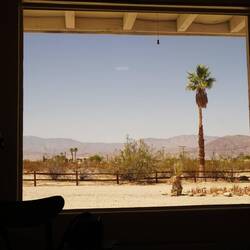 Blick aus unserem Fenster - heute Abend werden Sterne geguckt!