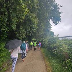 There are now tons of others on the trail