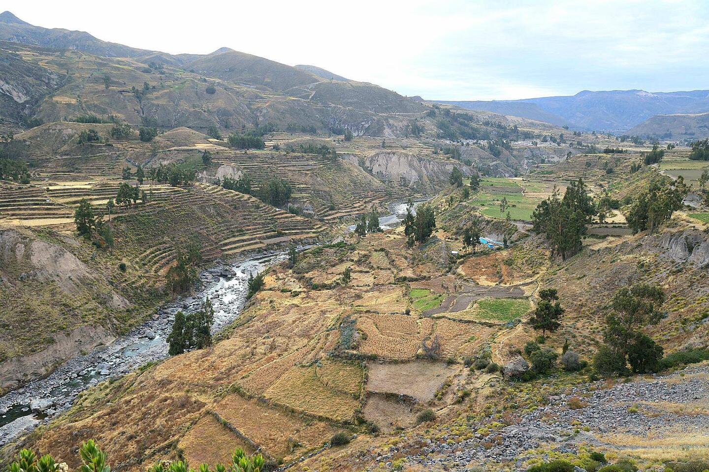 Colca Tal
