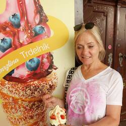 Der Trdlnik, Sehnsuchtsteil 🤣🤣🤣