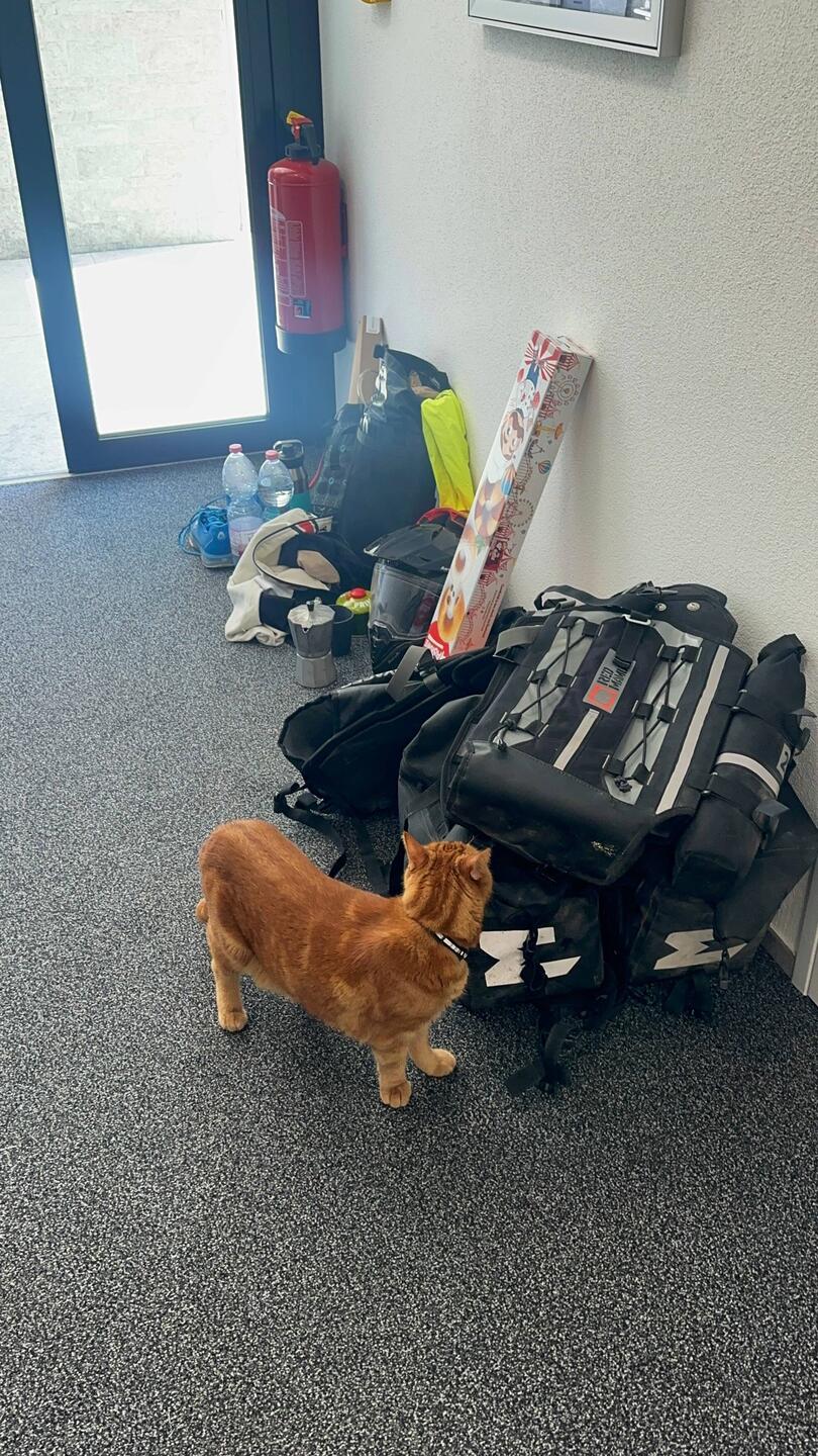 Charly fragt sich, ob wir ihm wohl auch etwas mitgebracht haben