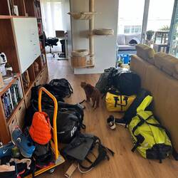 Charly inspiziert das Gepäck...