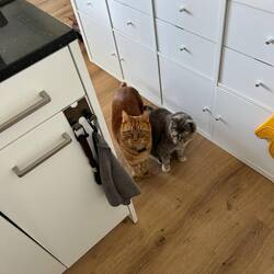 Und was bekommen wir zu essen?