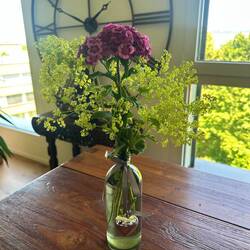 Willkommensblumen von Ruth