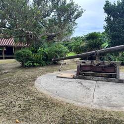 Animal-powered Sugar Mill
