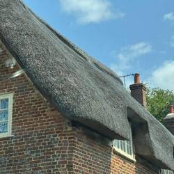 Thatched "moss-like" roof...last forever (or at least 100 years)