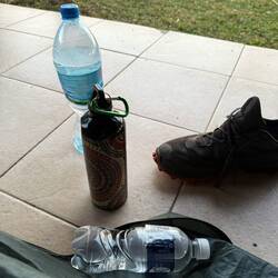 Meine drei Bettgefährten nach vollbrachter Arbeit am frühen Morgen.