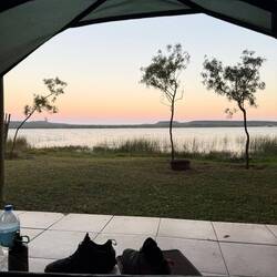 Blick aus dem Zelt in den angehenden Tag. Was wird er wohl bringen?