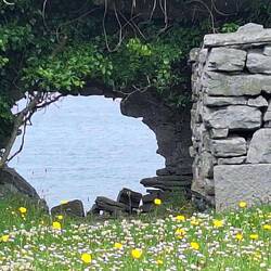 A window with a view