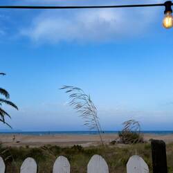 An der Beach-Bar