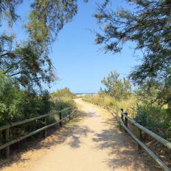 Der Weg vom CP zum Strand.