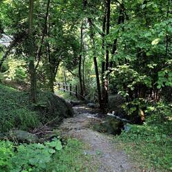 Wekome schaduw op de bergpaden.