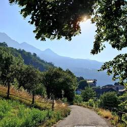 's Morgens vroeg... nog nevel in de lucht