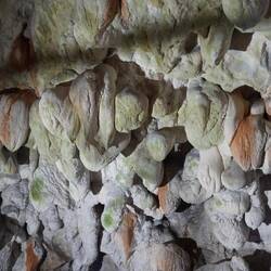 Höhli bim Matka Canyon