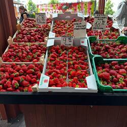 Auf dem Markt gibt's jede Menge Beeren