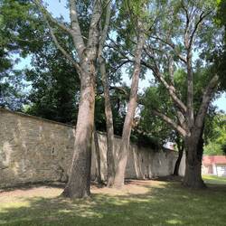 Stadtmauer