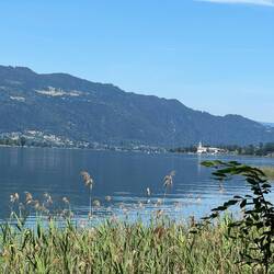 man verliert den See nur selten aus dem Blick