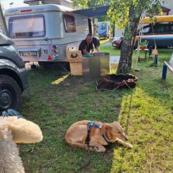 Uwe kocht für den Pottlach