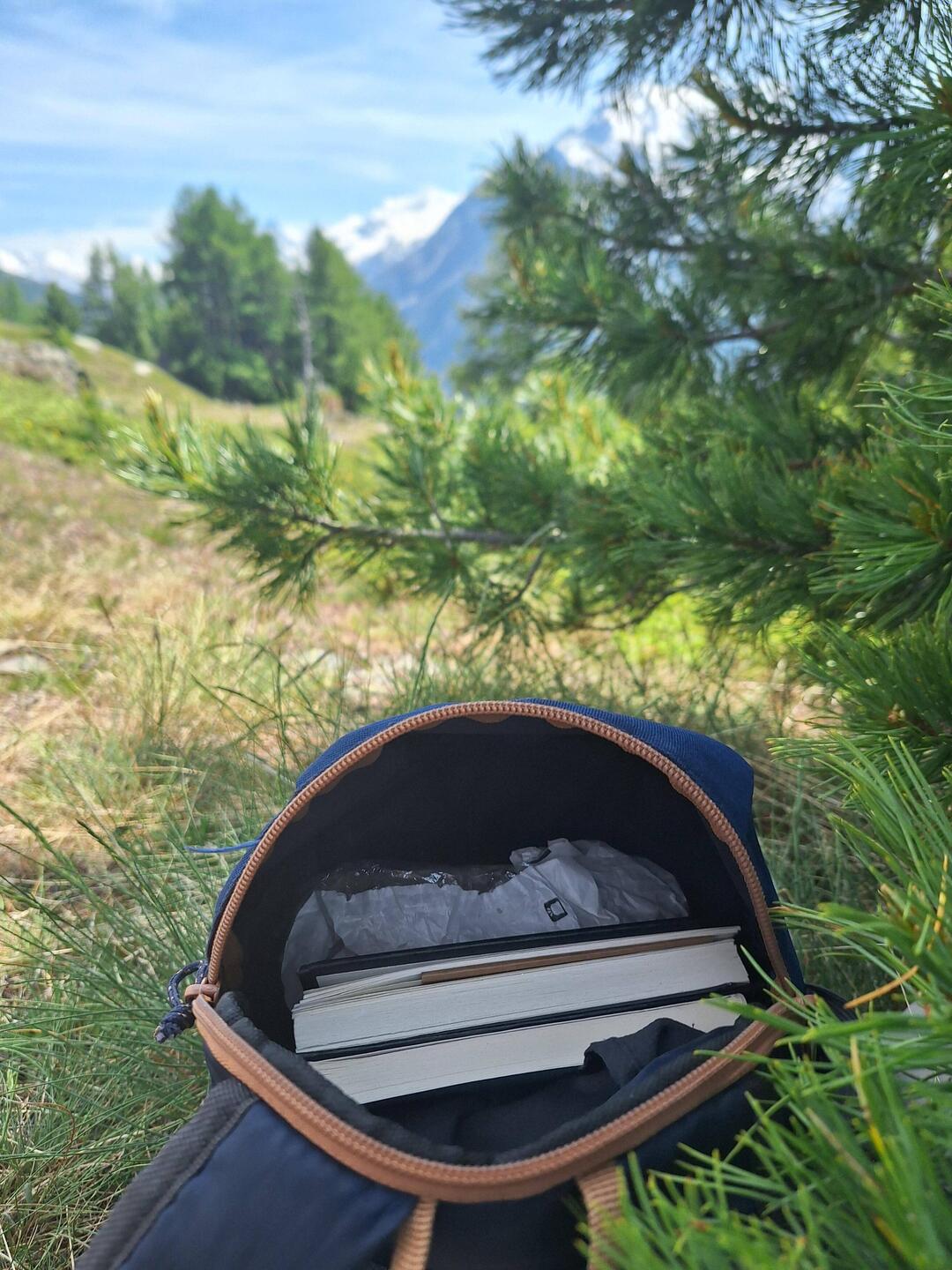 I pack i mi Rucksack: .....2 Büecher