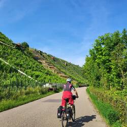 Nach Stuttgart beginnen die Weinberge.