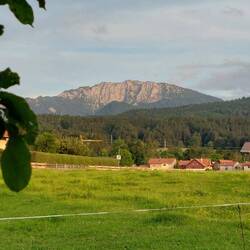 ....mit Blick auf die Benediktenwand.