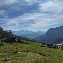 Green as far as the eye can see!