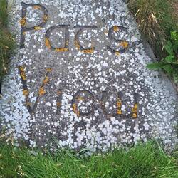 My mom was Pat. Not sure she would have liked the height.