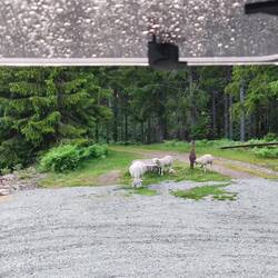 Wir bekommen nachts Besuch