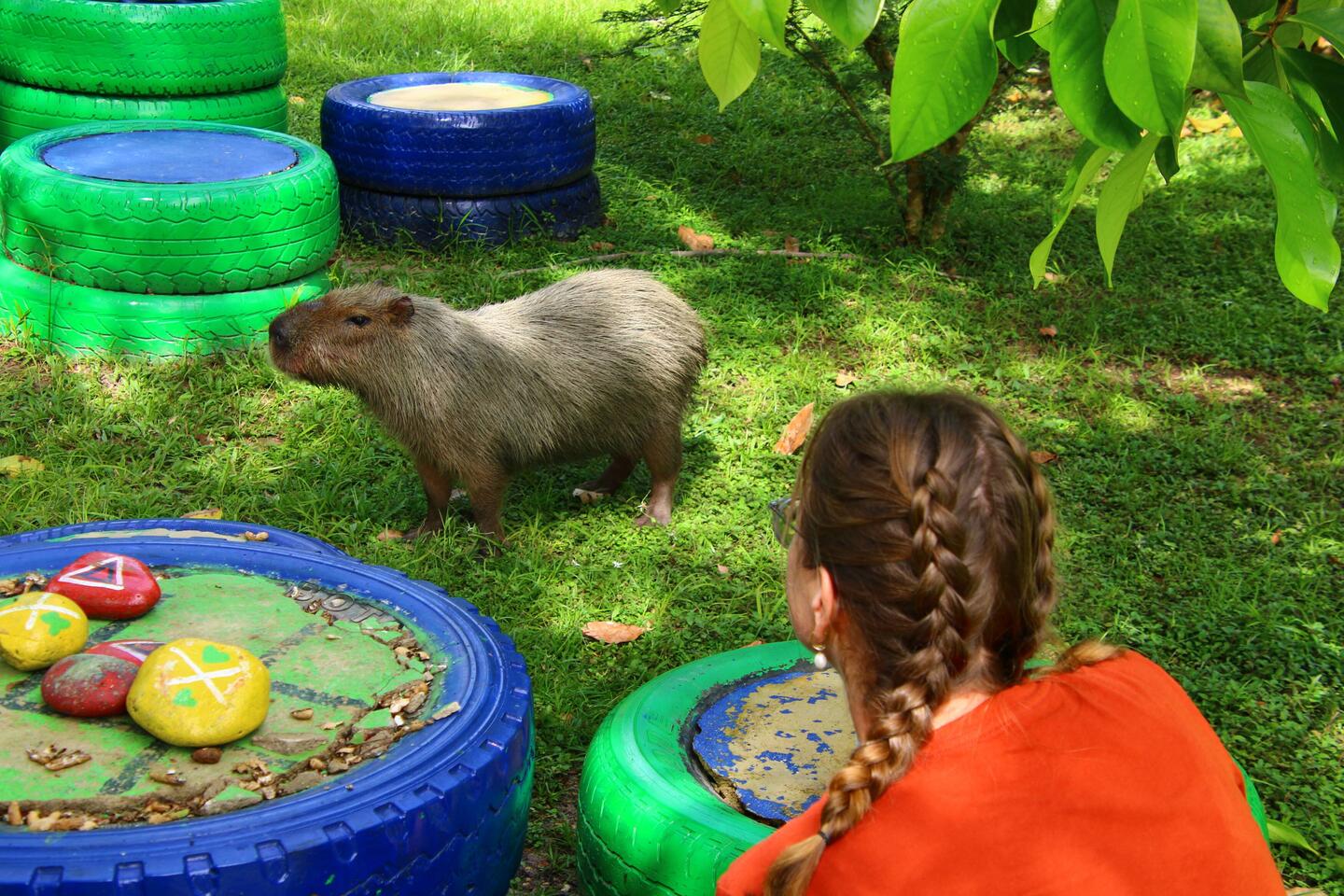 Capybara