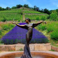 Besenwirtschaft Zimmerling war ein Flascherl wert